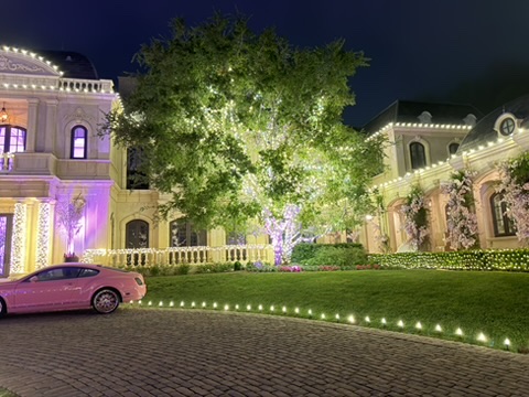 Illuminated courtyard tree between two sections of a home with holiday roofline lights