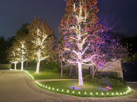 Tree-lined driveway edged with warm-white pathway lights and illuminated trunks and branches